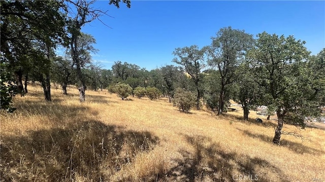 0 Willow Creek Dr, Oroville CA, 95968 land for sale