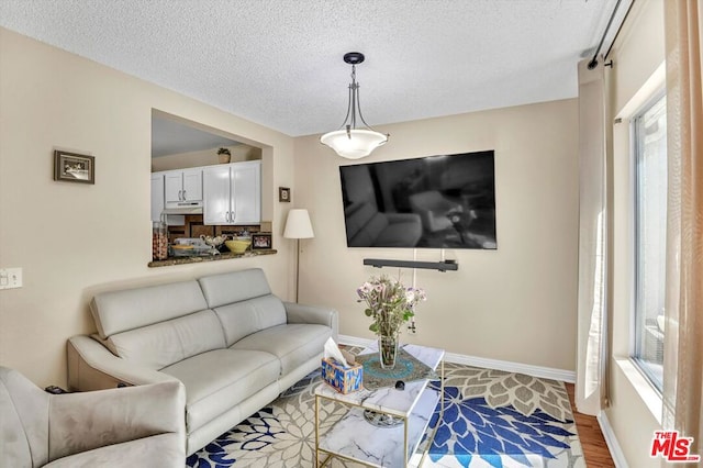 living room featuring hardwood / wood-style flooring and a textured ceiling