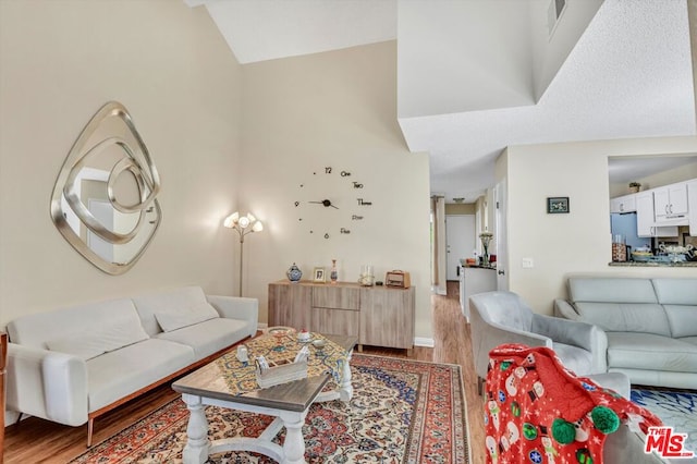 living room featuring wood-type flooring and vaulted ceiling