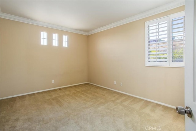 empty room with crown molding and light carpet