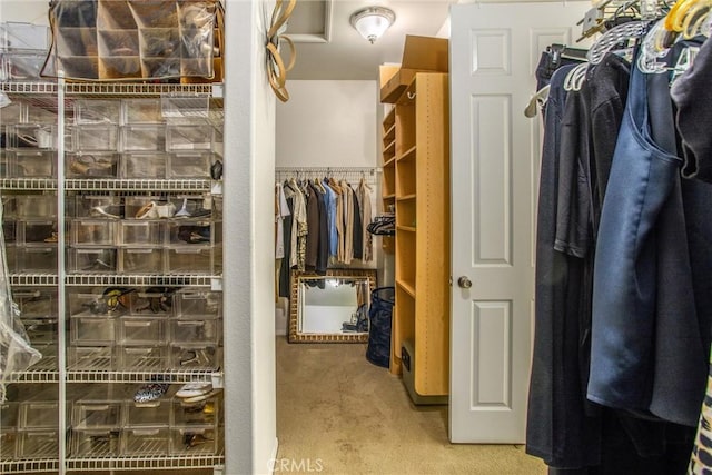 spacious closet with carpet flooring