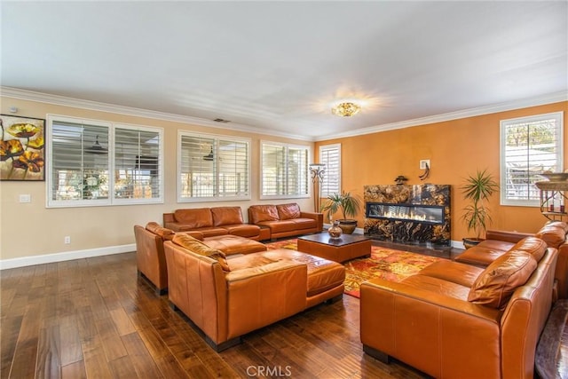 living room with crown molding, a fireplace, and dark hardwood / wood-style floors