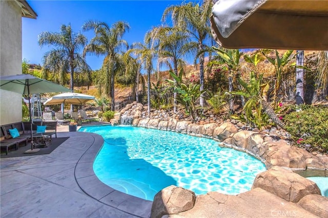 view of pool featuring a patio