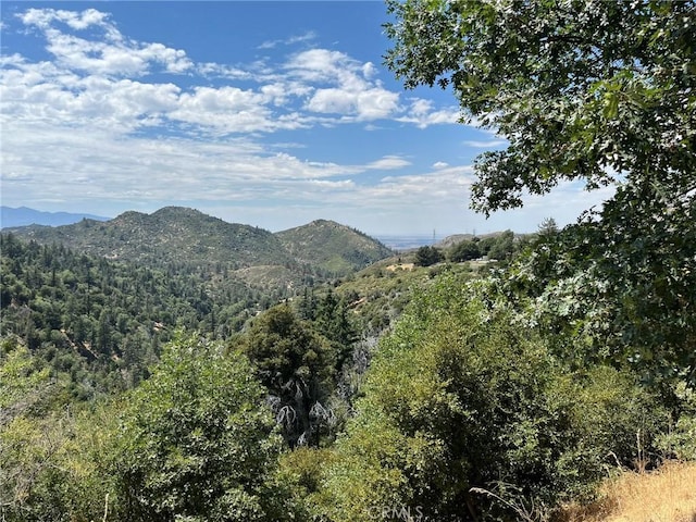 Listing photo 3 for 0LOT68 Edgecliff Dr, Lake Arrowhead CA 92352