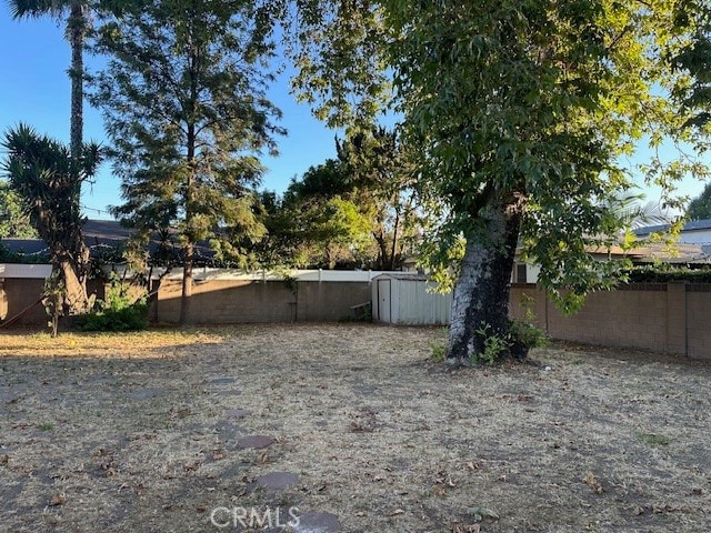 view of yard featuring a storage unit