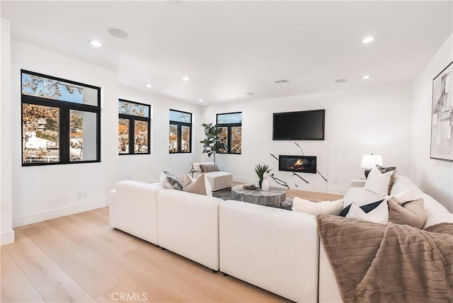 living room with a fireplace and light hardwood / wood-style flooring