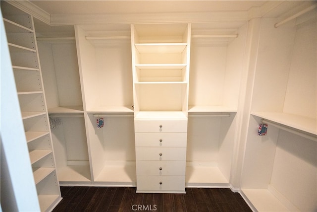 spacious closet with dark hardwood / wood-style flooring