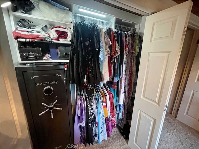 view of closet