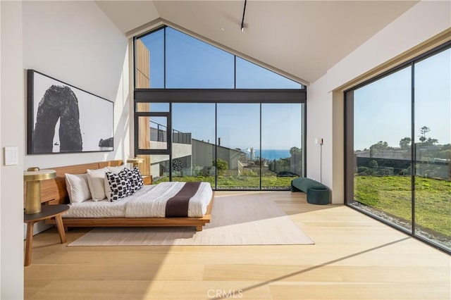 sunroom with lofted ceiling