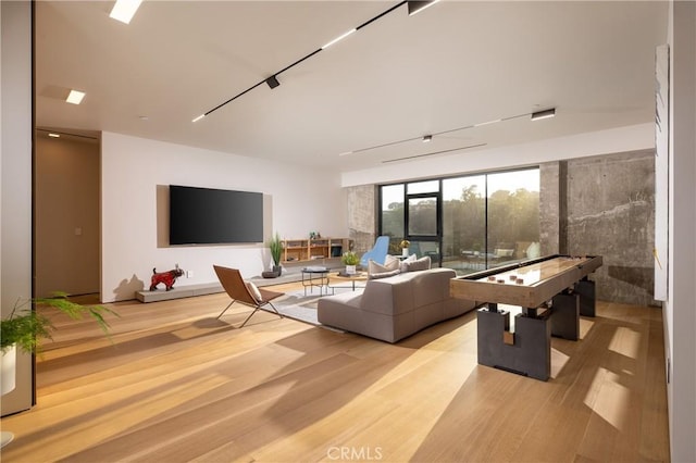 rec room with light hardwood / wood-style flooring