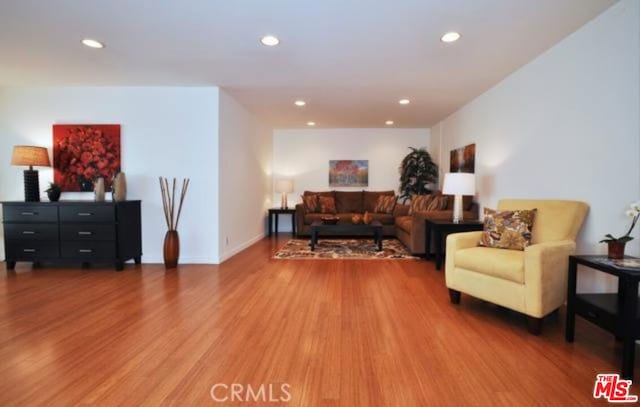 living room with wood-type flooring