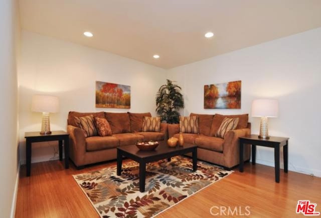 living room featuring hardwood / wood-style floors