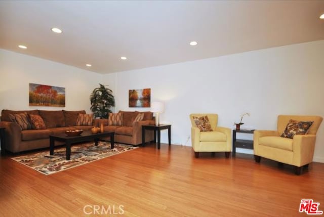 living room with wood-type flooring