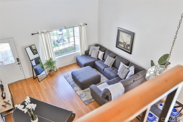 living room featuring wood-type flooring