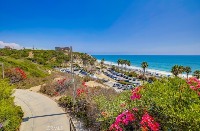 water view with a view of the beach