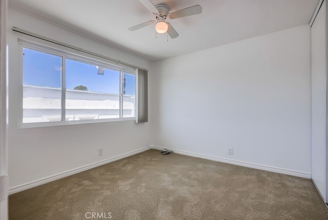 unfurnished room featuring ceiling fan and carpet floors