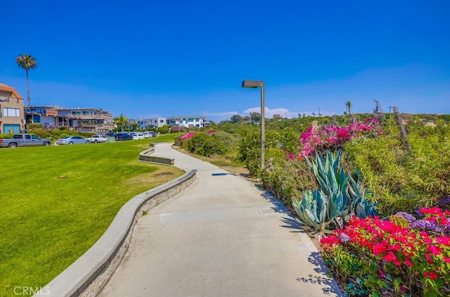 view of home's community with a lawn