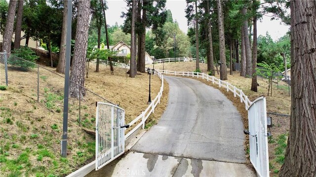 919 Venus Way, Crestline, CA 92325 - view of road