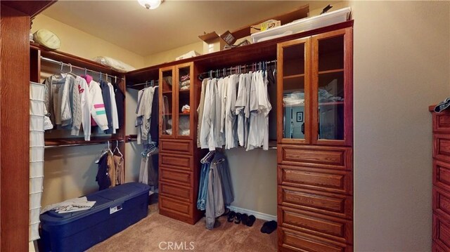 919 Venus Way, Crestline, CA 92325 - spacious closet with carpet