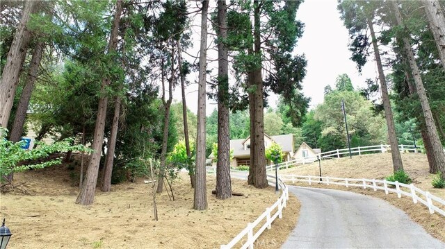 919 Venus Way, Crestline, CA 92325 - view of road