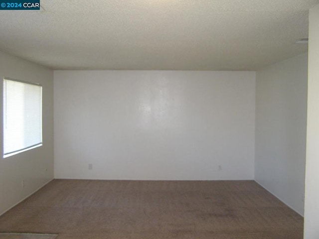 spare room featuring carpet flooring and a textured ceiling