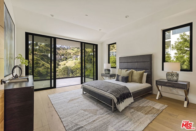 bedroom featuring multiple windows, access to exterior, and light hardwood / wood-style floors