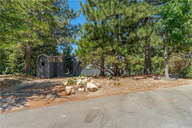 1154 Yukon Dr, Lake Arrowhead, CA 92352 - view of yard