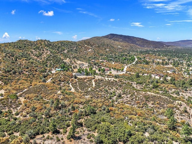 view of mountain feature