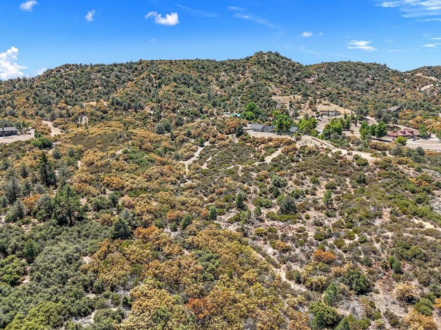 view of mountain feature