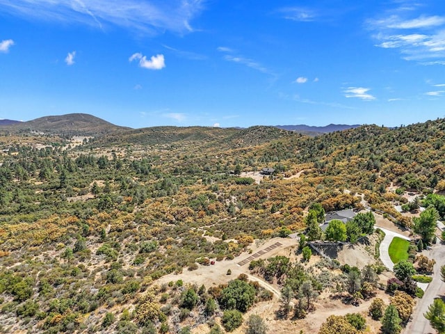 view of mountain feature