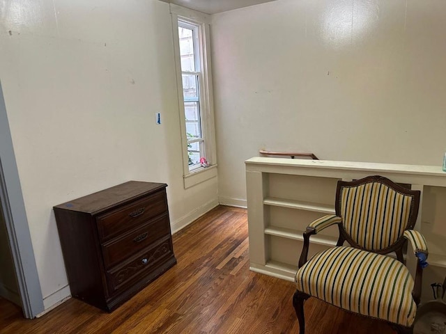 living area with dark wood-type flooring