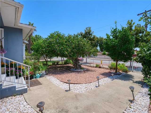 view of yard with a patio area