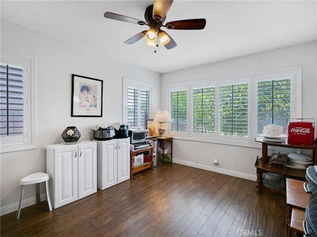 office featuring ceiling fan and dark hardwood / wood-style flooring