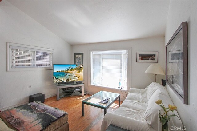 living room with wood-type flooring and vaulted ceiling