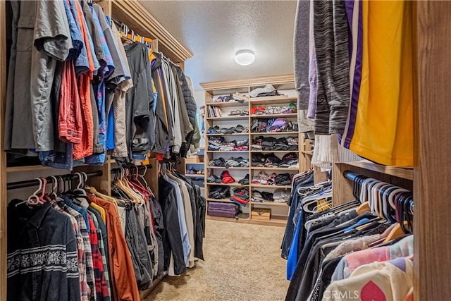 spacious closet featuring carpet floors