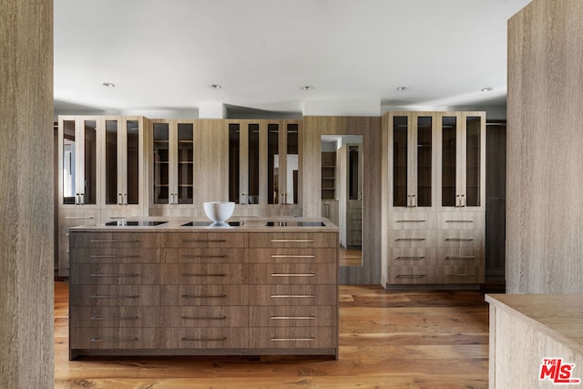 interior space featuring light hardwood / wood-style floors