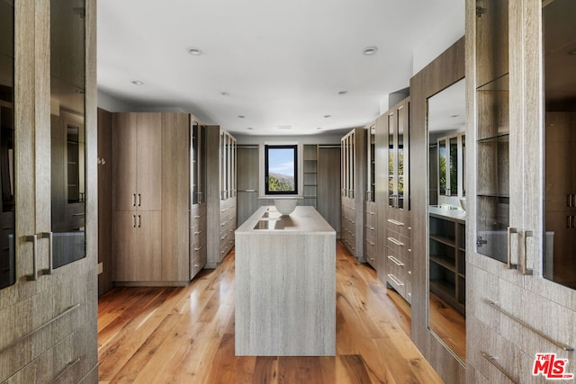 interior space featuring light hardwood / wood-style floors