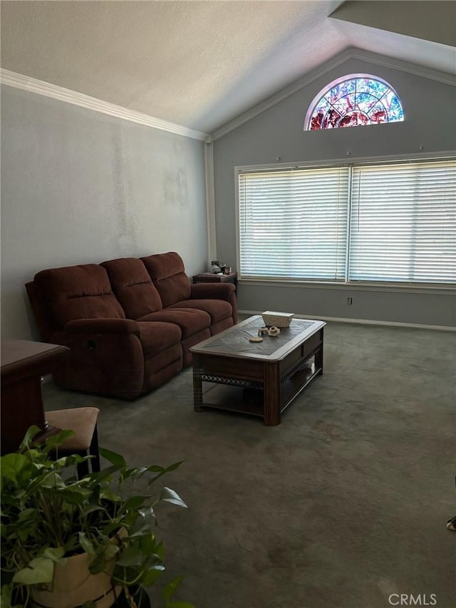 carpeted living room featuring lofted ceiling and crown molding