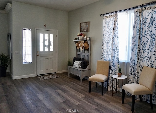 foyer featuring dark hardwood / wood-style floors