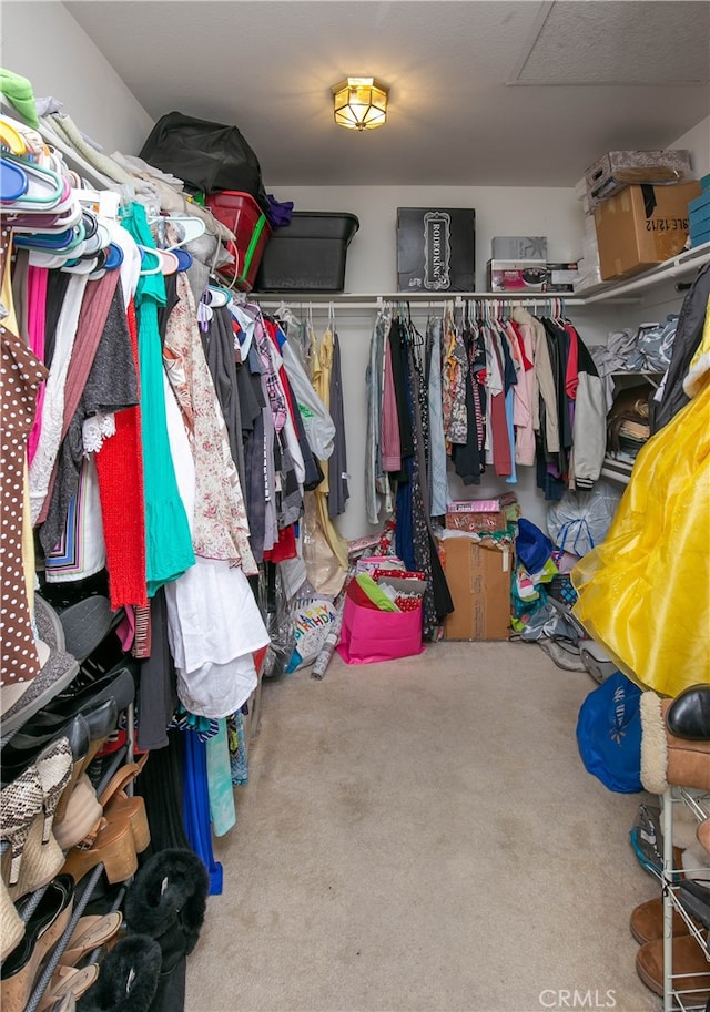 walk in closet featuring carpet