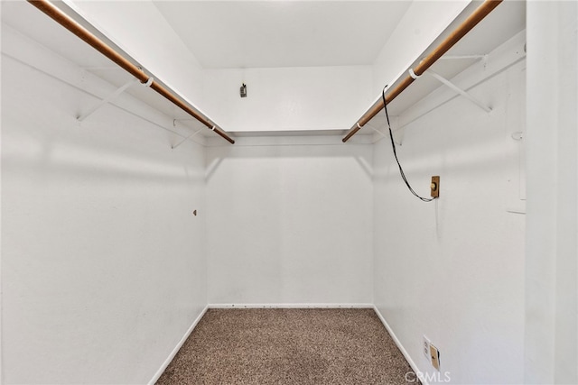 walk in closet with carpet floors