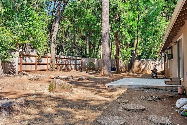 view of yard featuring a patio area