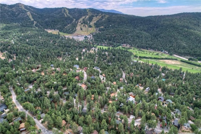 view of mountain feature featuring a view of trees