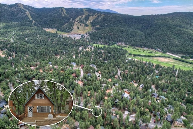 aerial view with a view of trees and a mountain view