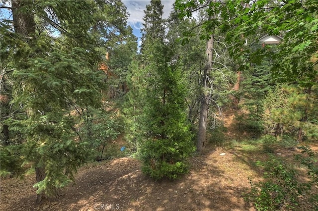 view of local wilderness with a view of trees