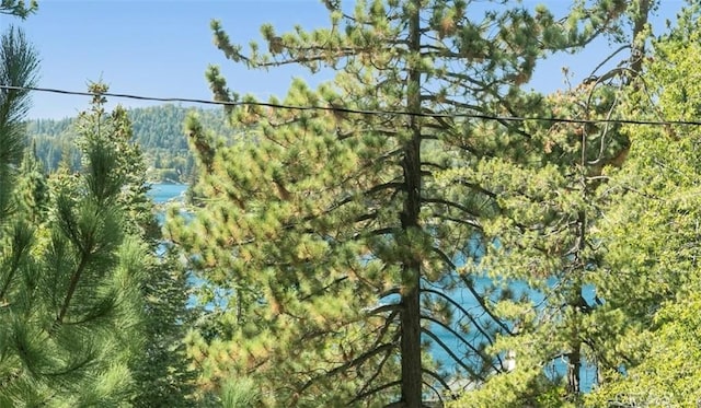 514 Emerald Dr, Lake Arrowhead, CA 92352 - view of tree filled area