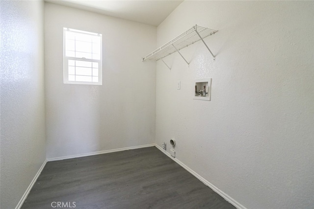 laundry room with washer hookup and dark wood-type flooring