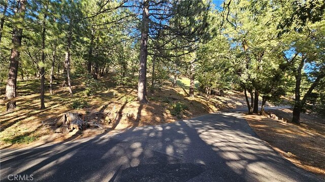 93 Park Dr, Running Springs, CA 92382