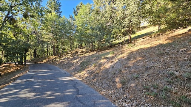 93 Park Dr, Running Springs, CA 92382