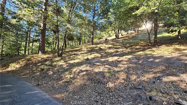 93 Park Dr, Running Springs, CA 92382